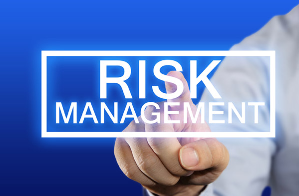 Essential Elements of an Effective Enterprise Risk Management Solution