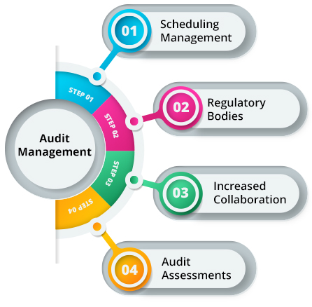 internal audit software