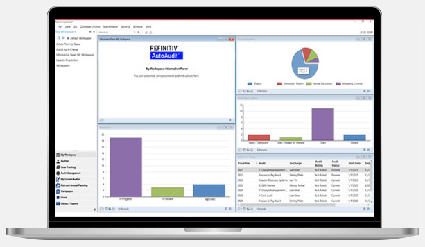 Internal Auditing Software
