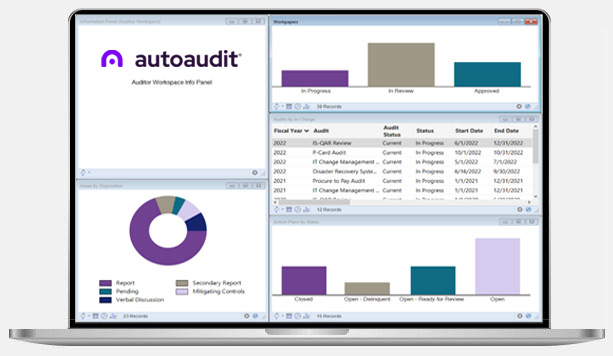 Internal Auditing Software