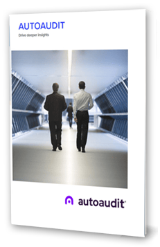 Internal AutoAudit Software