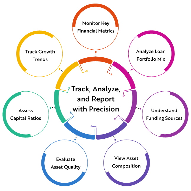 Balance Sheet Insights